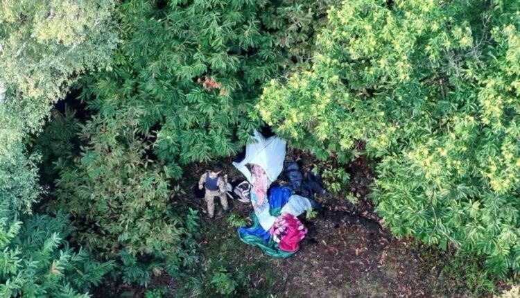 Sondrio, blitz antidroga nei boschi di Talamona: arrestato dalla Polizia di Sondrio il pusher in fuga