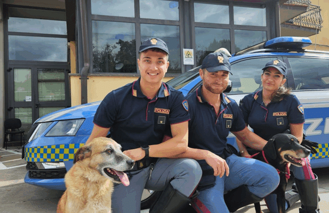 Forlì: poliziotti salvano Leone e Bruno. I due meticci sono stati restituiti al proprietario.