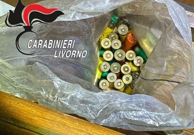 Campiglia Marittima: uomo arrestato per detenzione di armi e coltivazione di canapa indiana.