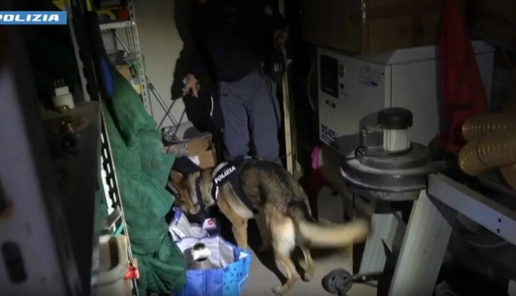 Duplice omicidio di due neonati a Reggio Calabria: giovane madre ai domiciliari con braccialetto elettronico