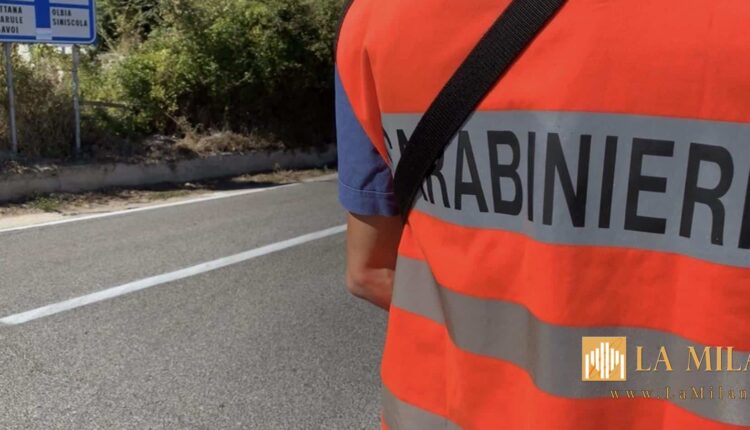 Orani: denunciati 8 giovani per corsa a cavallo non autorizzata.