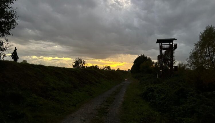 Valle Mandriole, inaugurata la nuova torretta per l’avvistamento dell’avifauna nel Parco del Delta del Po