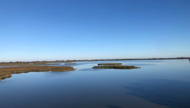 Valle Mandriole, inaugurata la nuova torretta per l’avvistamento dell’avifauna nel Parco del Delta del Po