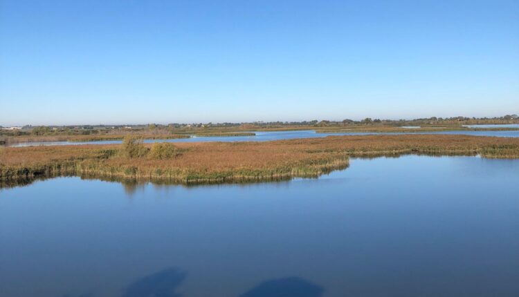 Valle Mandriole, inaugurata la nuova torretta per l’avvistamento dell’avifauna nel Parco del Delta del Po