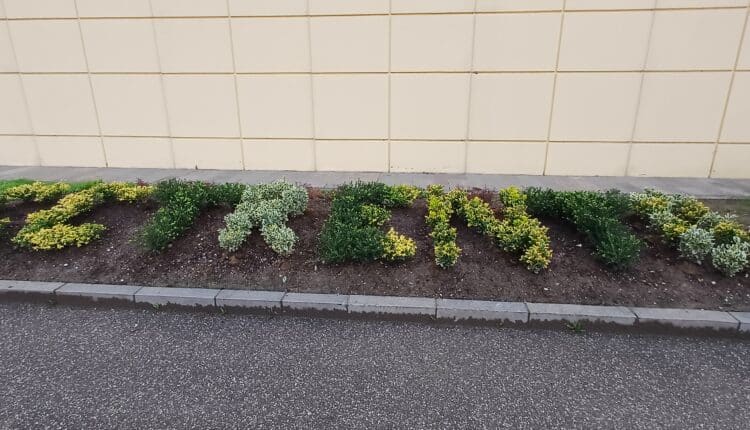 Trento: laboratorio di giardinaggio per i detenuti grazie al progetto del liceo Rosmini.