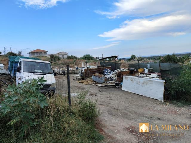 Catania, tre operazioni della polizia locale a tutela dell’ambiente e degli animali