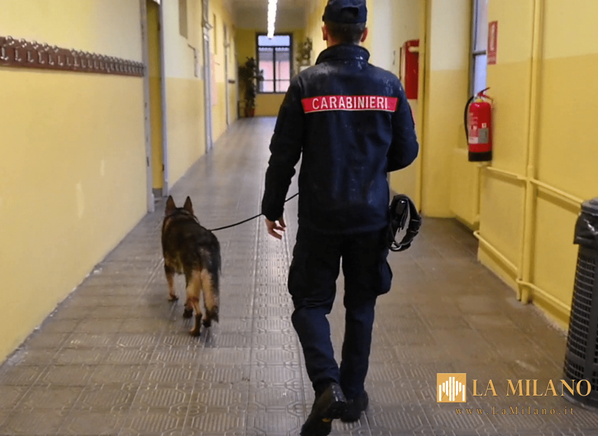 Ravenna, controlli antidroga nelle scuole: i Carabinieri trovano hashish su una studentessa grazie al cane “Drago”