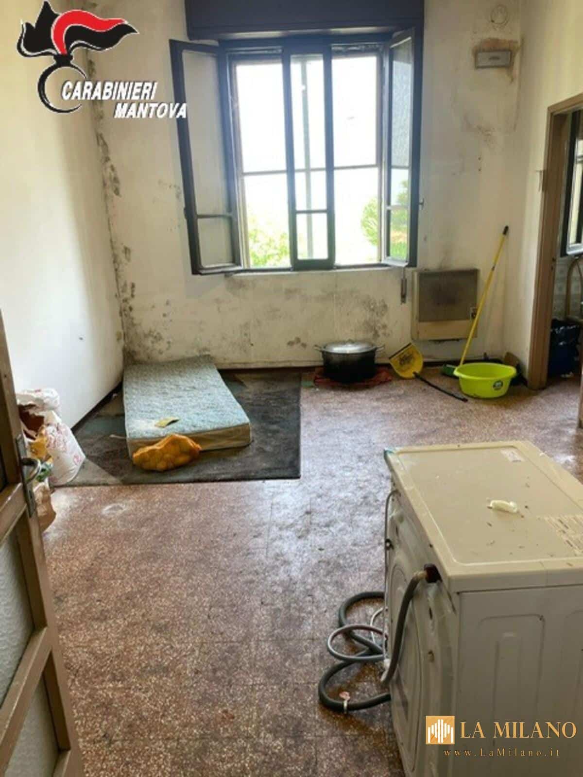 Mantova: maxi-controlli in agricoltura contro caporalato e lavoro irregolare