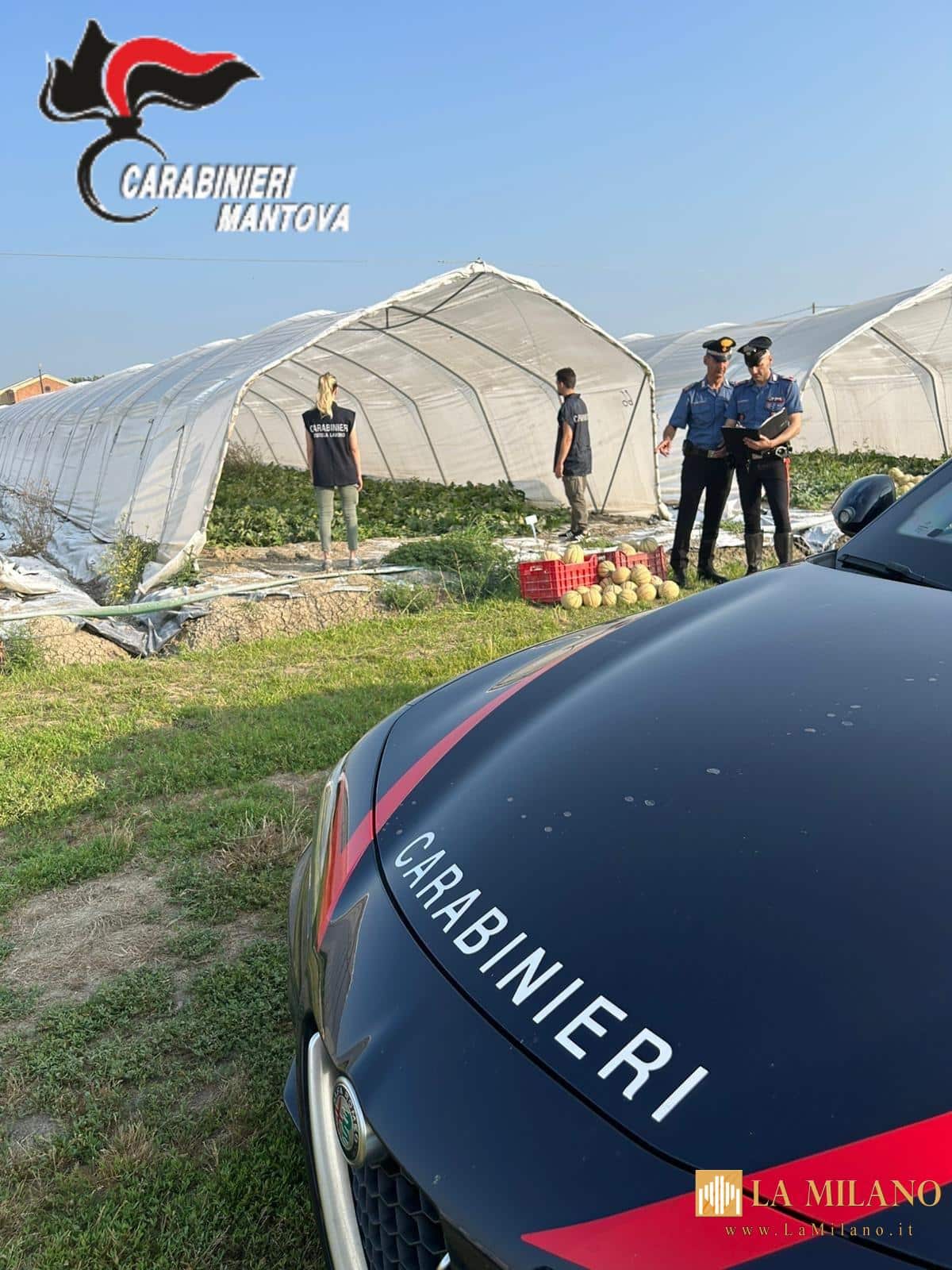 Mantova: maxi-controlli in agricoltura contro caporalato e lavoro irregolare