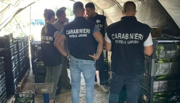 Mantova: maxi-controlli in agricoltura contro caporalato e lavoro irregolare