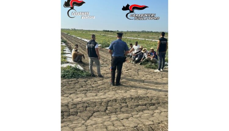 Sermide e Felonica, operazione dei Carabinieri: arrestati due imprenditori moldavi per caporalato e favoreggiamento dell’immigrazione clandestina