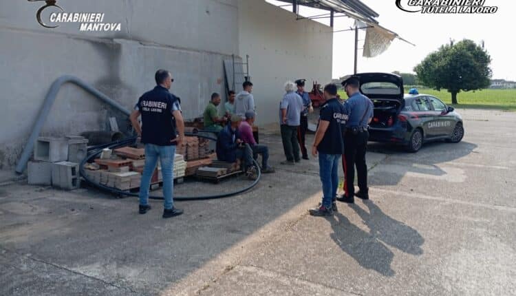 Sermide e Felonica, operazione dei Carabinieri: arrestati due imprenditori moldavi per caporalato e favoreggiamento dell’immigrazione clandestina