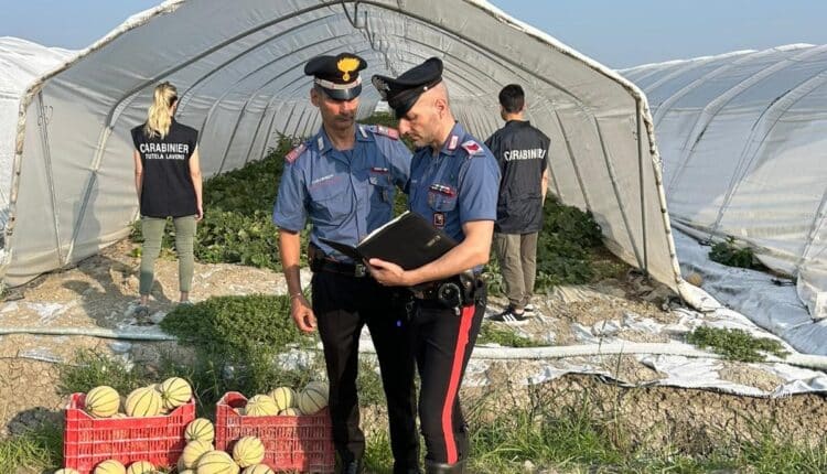 Sermide e Felonica, operazione dei Carabinieri: arrestati due imprenditori moldavi per caporalato e favoreggiamento dell’immigrazione clandestina