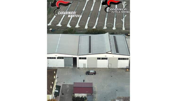 Poggio Rusco e Sermide-Felonica: arrestati due imprenditori per sfruttamento del lavoro e intermediazione illecita