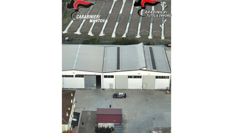 Sermide e Felonica, operazione dei Carabinieri: arrestati due imprenditori moldavi per caporalato e favoreggiamento dell’immigrazione clandestina