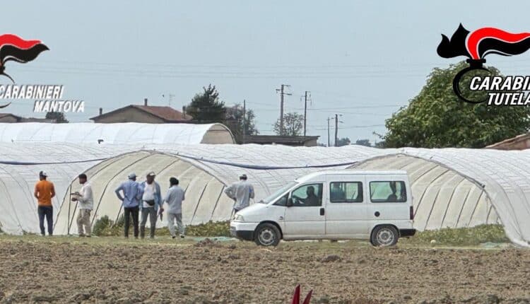 Sermide e Felonica, operazione dei Carabinieri: arrestati due imprenditori moldavi per caporalato e favoreggiamento dell’immigrazione clandestina