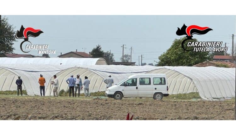 Poggio Rusco e Sermide-Felonica: arrestati due imprenditori per sfruttamento del lavoro e intermediazione illecita