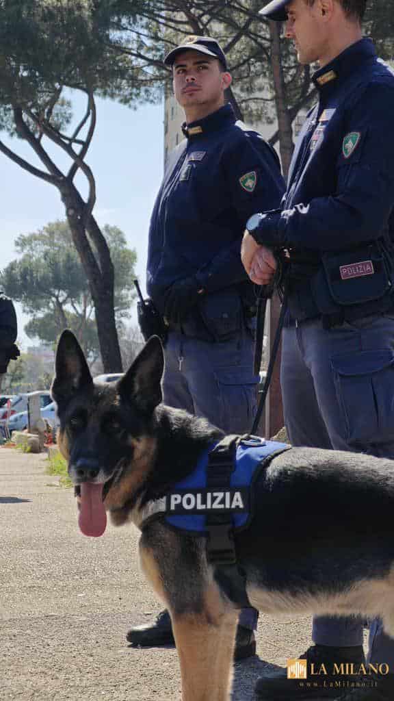 Roma: Quarticciolo, il fiuto di Argo incastra pusher e smaschera deposito di crack. Altri 7 arresti.