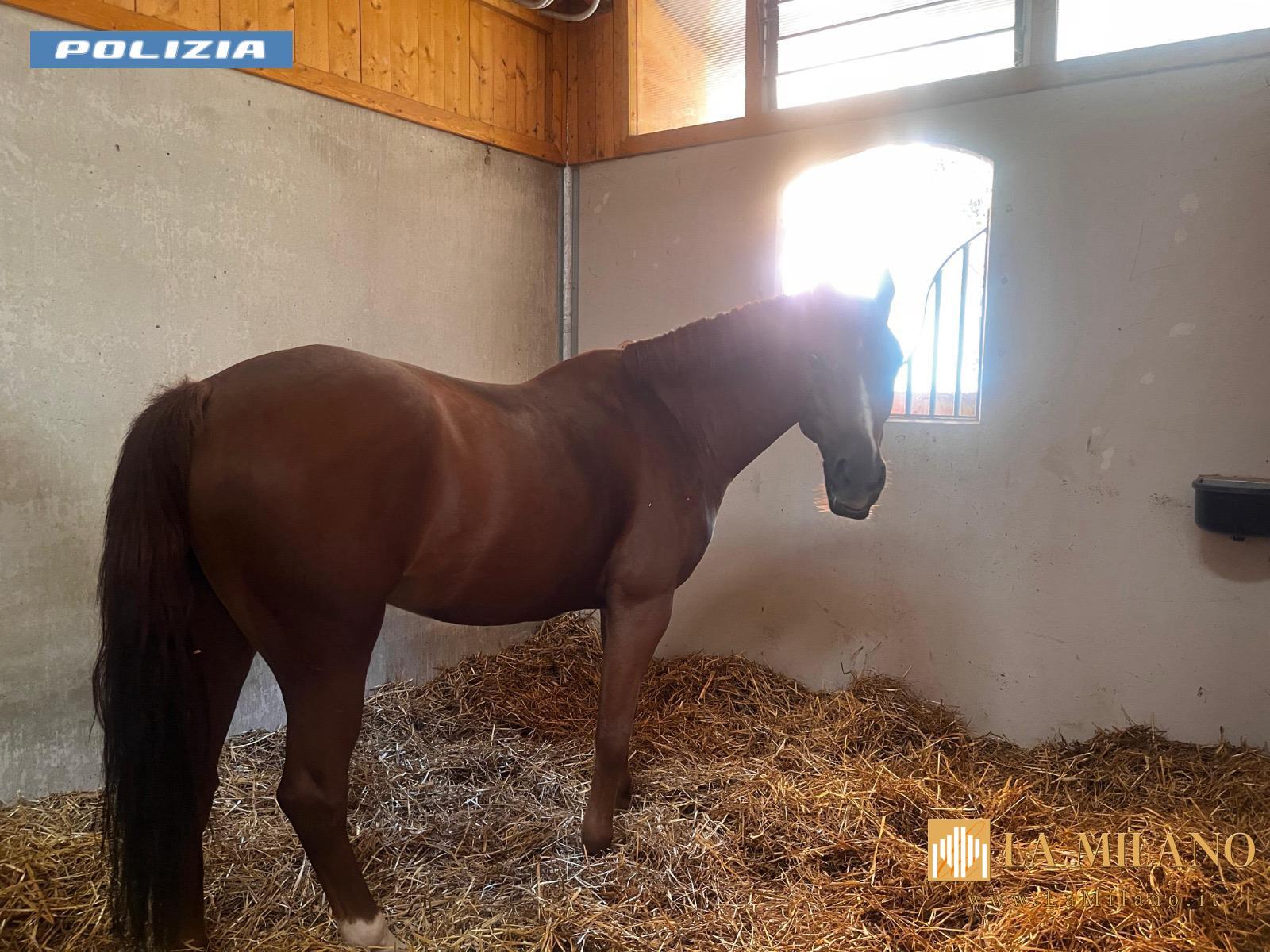 Roma, maxi sequestro da 1,5 milioni: la Polizia di Stato colpisce un broker della manodopera legato alla Banda della Magliana