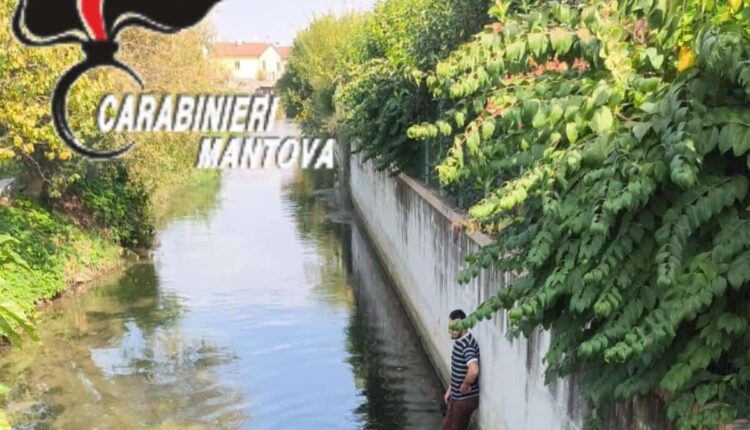 Mantova, rissa in piazza con coltello e bastone telescopico: 6 giovani denunciati dai Carabinieri