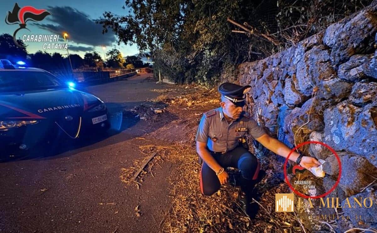 Catania, controlli a tappeto dei Carabinieri: recuperata refurtiva comunale, sequestrata cocaina e denunce per armi e violazioni amministrative