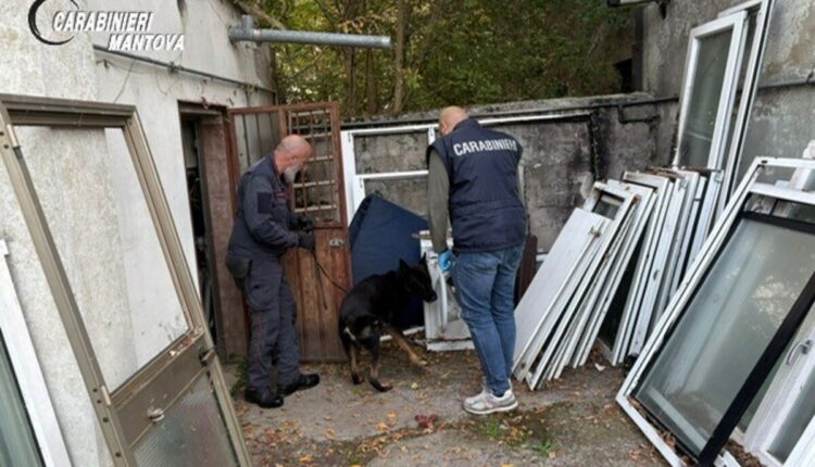 Suzzara, arrestato soggetto già espulso e operazione antidroga nel Mantovano sequestrati droga e contanti