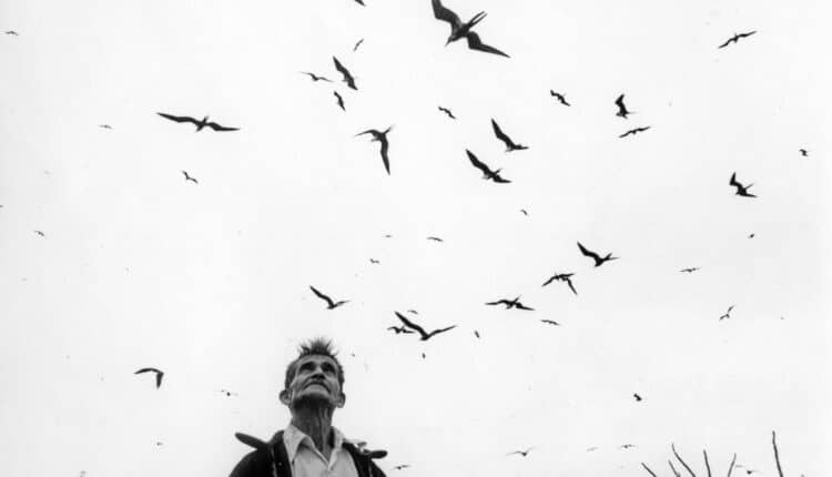 Il viaggio dell’anima: all’Università IULM di Milano la grande mostra di Graciela Iturbide, maestra della fotografia contemporanea