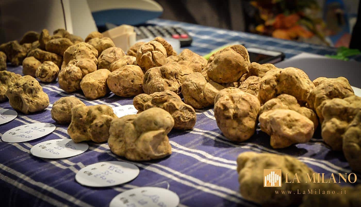 Millesimo celebra il tartufo: dal 3 al 5 ottobre la 33ª Festa Nazionale