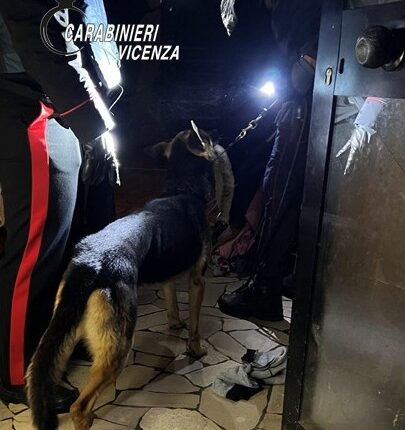 Vicenza, smantellata organizzazione criminale nigeriana: 20 arresti per traffico internazionale di cocaina ed eroina