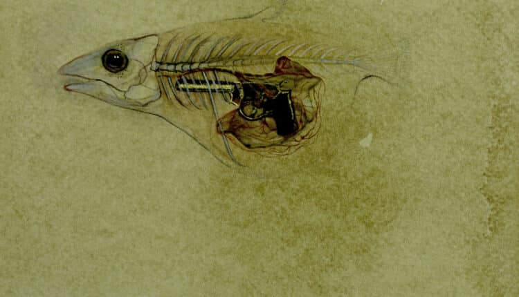 Al PAC arriva “India. Di bagliori e fughe”: la grande collettiva dedicata alle pratiche artistiche dell’India contemporanea