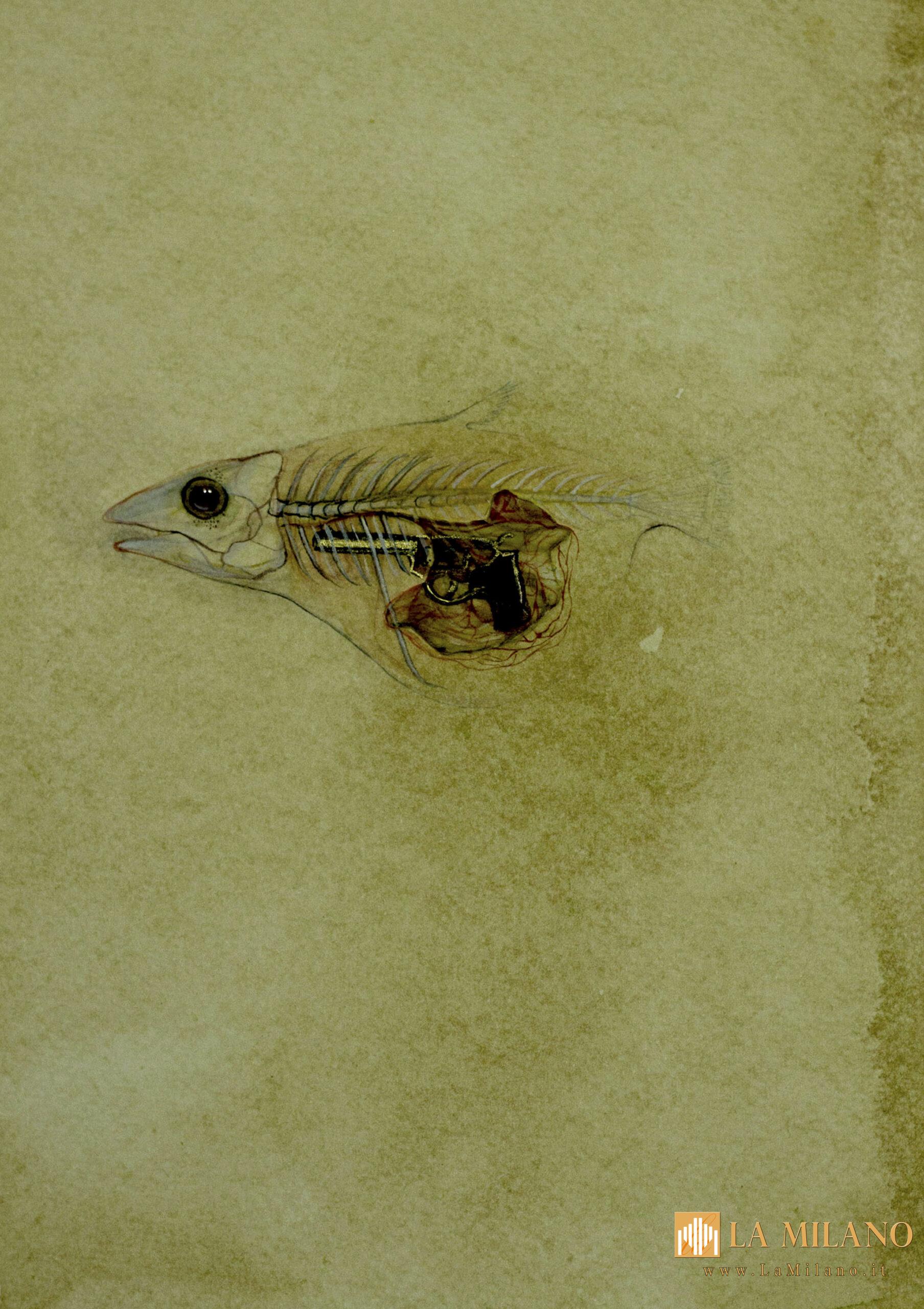 Al PAC arriva “India. Di bagliori e fughe”: la grande collettiva dedicata alle pratiche artistiche dell’India contemporanea