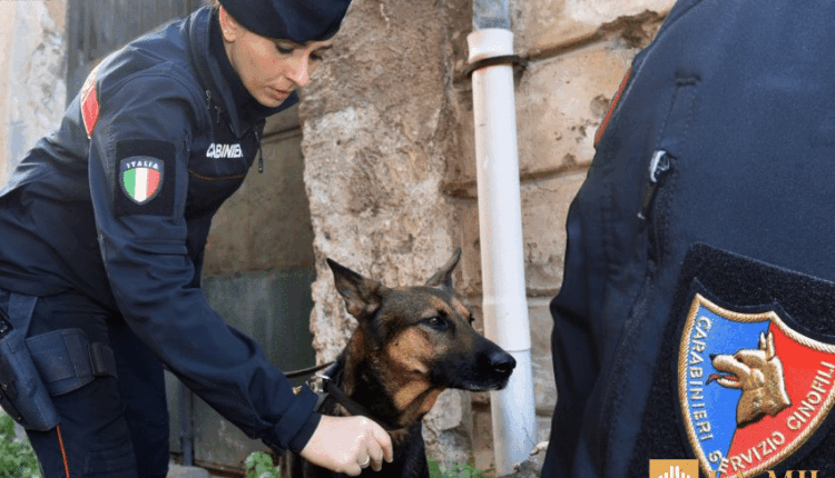 Palermo: operazione antidroga, quattro spacciatori arrestati.
