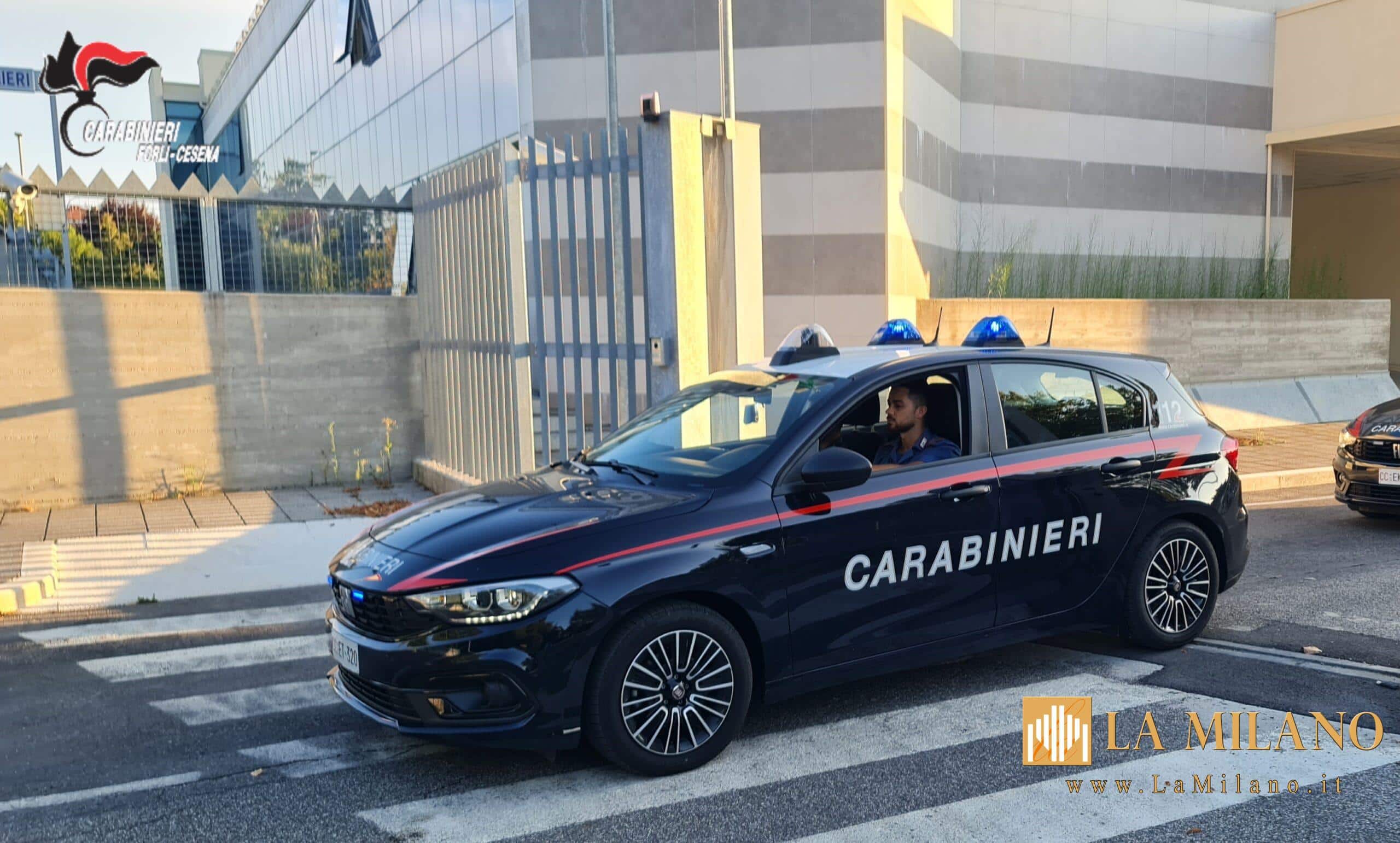 Cesena, partorisce in casa e lascia il neonato vicino ai cassonetti: salvato dai Carabinieri e dal 118