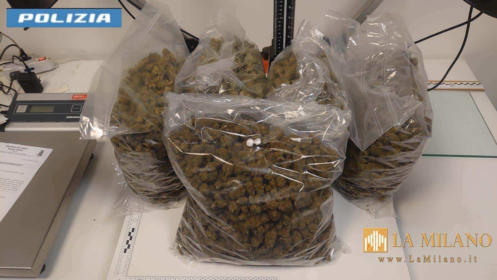 Udine: arrestati tre corrieri della droga con 6 chili di marijuana.