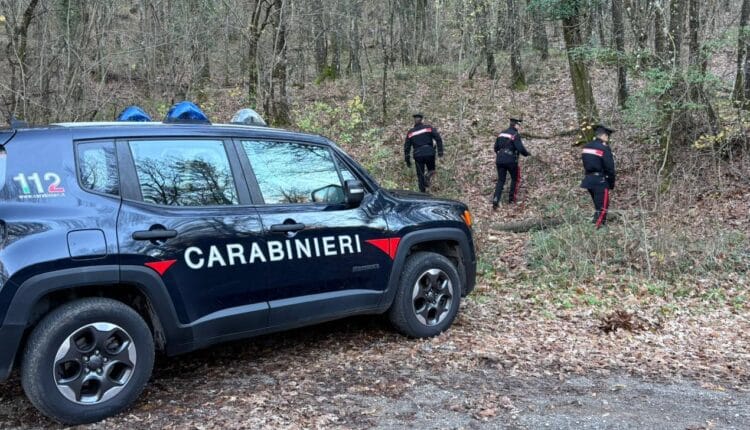 Piancastagnaio: smantellato bivacco di spacciatori nel bosco.