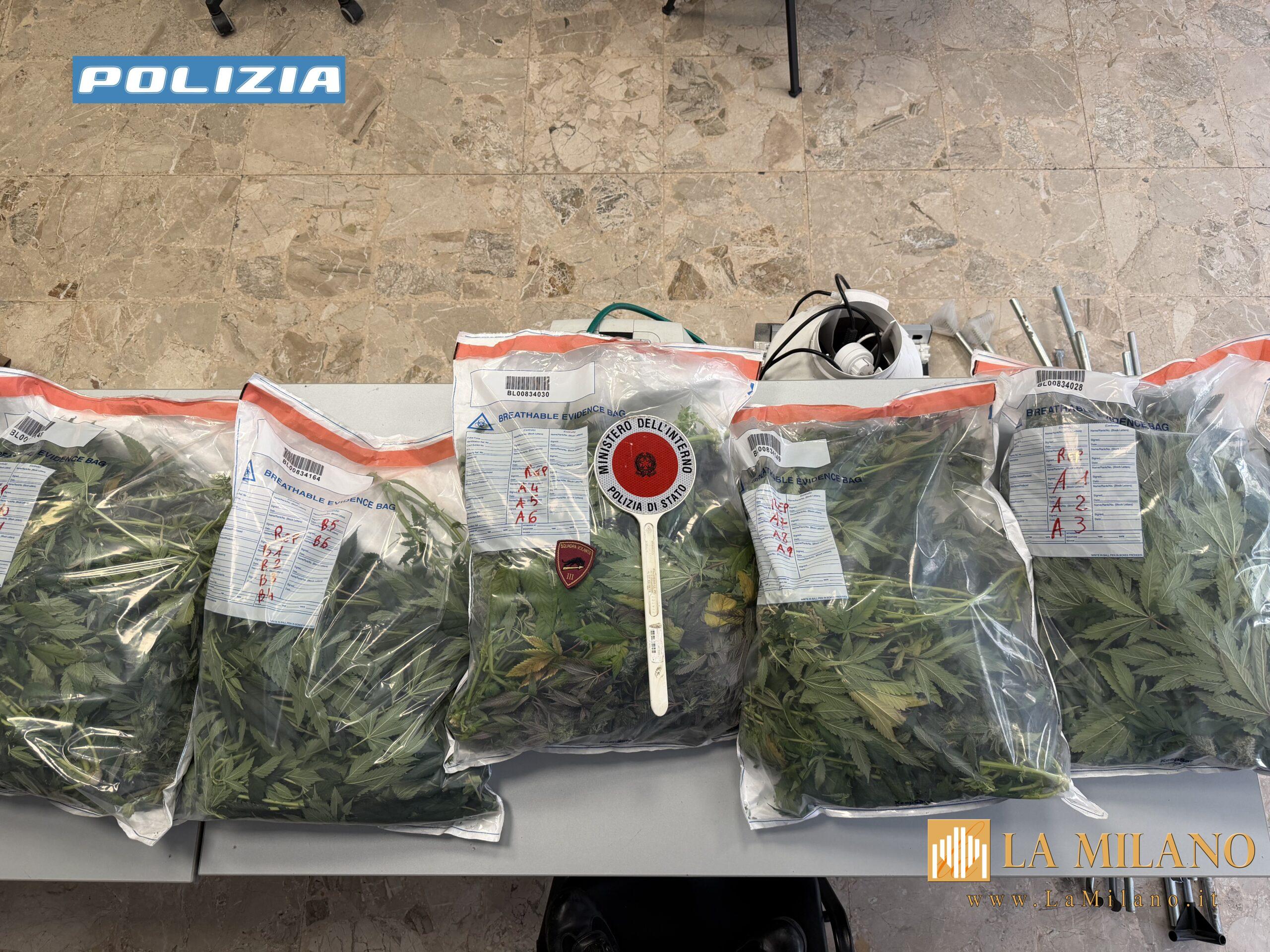 Genova: scoperto laboratorio di marijuana durante un intervento per occupazione abusiva.