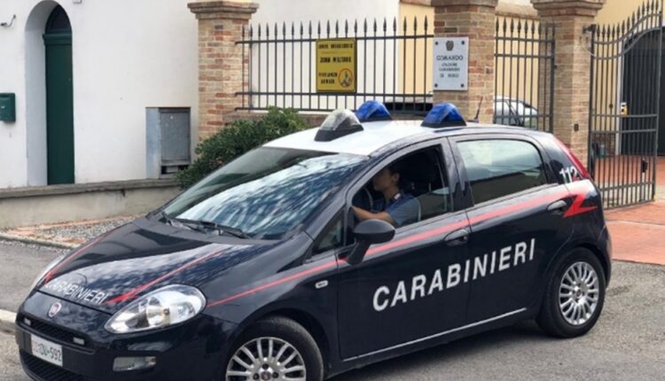 Ravenna, furto in un negozio di fiori a Russi: identificato dopo un anno grazie al DNA