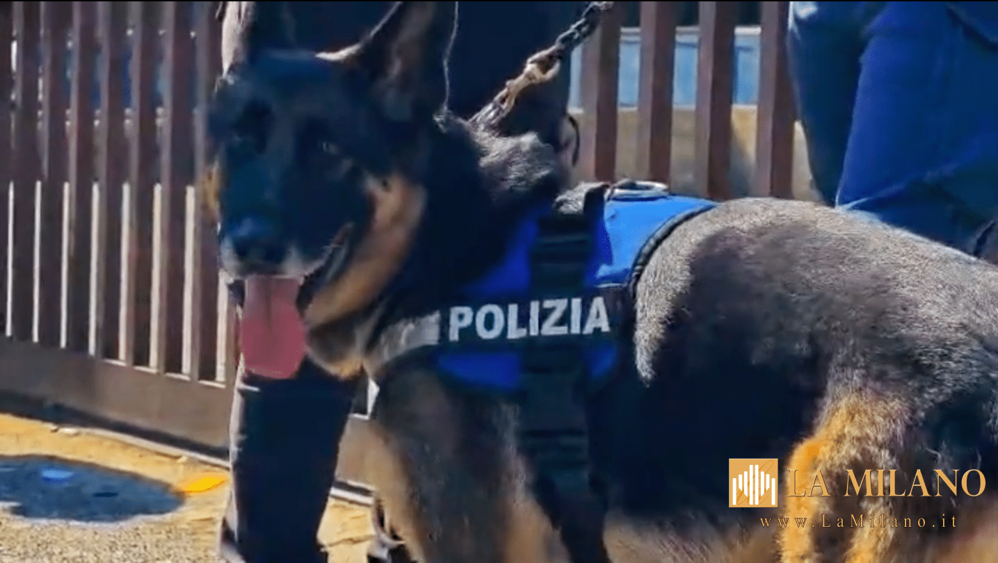 Roma, quattro pusher arrestati tra Quarticciolo e Tor Bella Monaca: blitz della Polizia di Stato