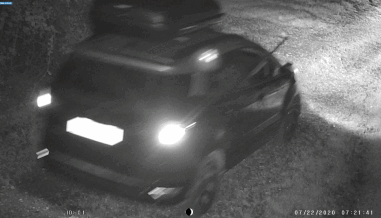 Novara, spara dal finestrino dell’auto durante la caccia: denunciati padre e figlio