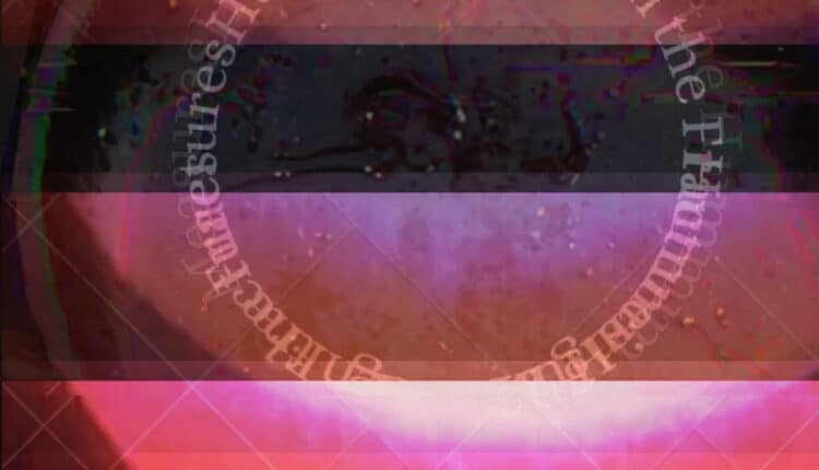 Al PAC arriva “India. Di bagliori e fughe”: la grande collettiva dedicata alle pratiche artistiche dell’India contemporanea