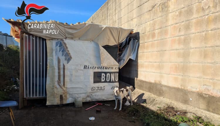 Napoli: controlli nei campi rom, sequestri e denunce.