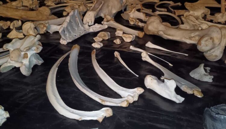 Matthew Herbert porta “The Horse” in Triennale Milano: un viaggio sonoro tra archeologia musicale, spiritualità e natura