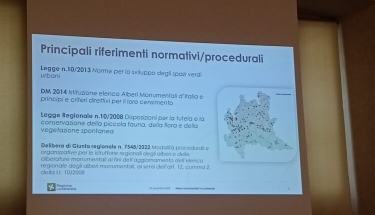 Giornata nazionale dell’albero: la Lombardia celebra i suoi alberi monumentali, custodi di storia e identità