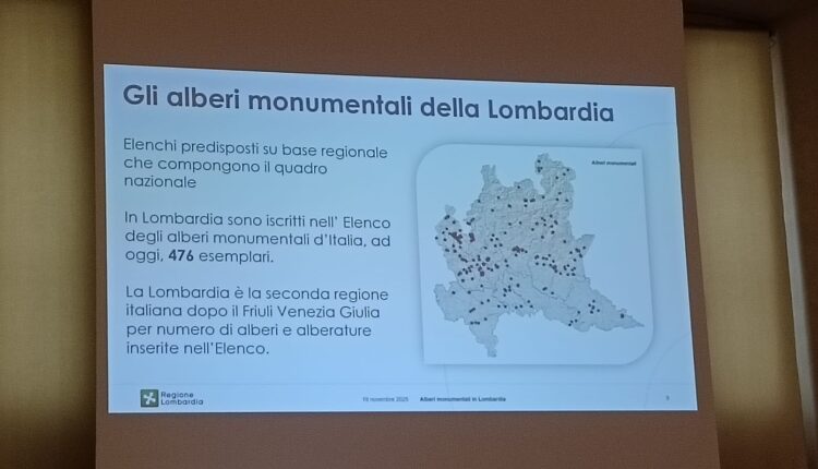 Giornata nazionale dell’albero: la Lombardia celebra i suoi alberi monumentali, custodi di storia e identità