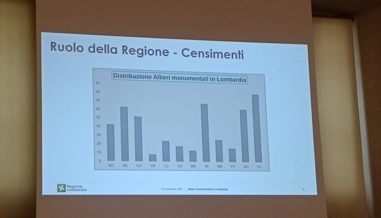 Giornata nazionale dell’albero: la Lombardia celebra i suoi alberi monumentali, custodi di storia e identità