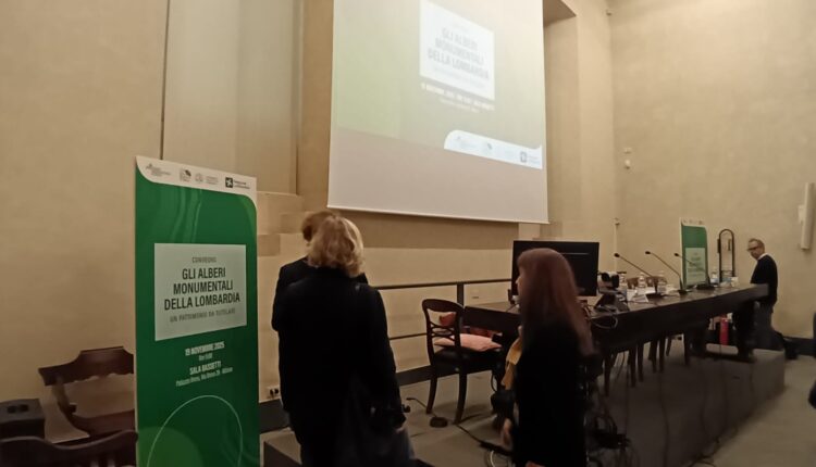 Giornata nazionale dell’albero: la Lombardia celebra i suoi alberi monumentali, custodi di storia e identità