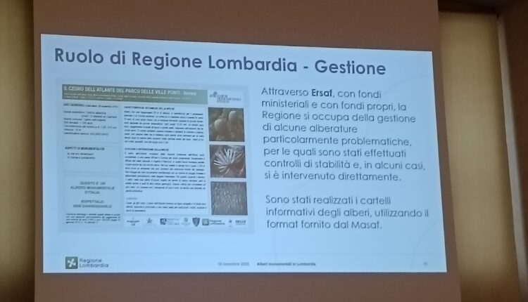 Giornata nazionale dell’albero: la Lombardia celebra i suoi alberi monumentali, custodi di storia e identità