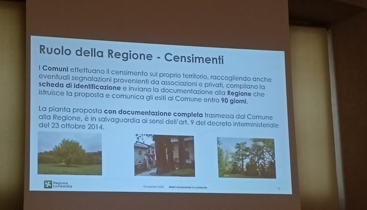 Giornata nazionale dell’albero: la Lombardia celebra i suoi alberi monumentali, custodi di storia e identità