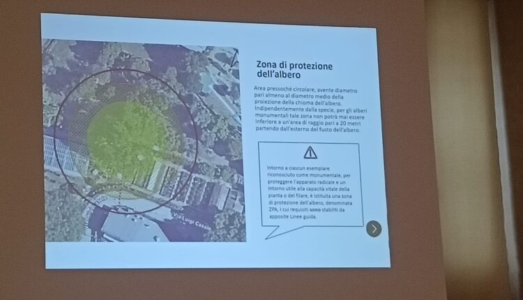 Giornata nazionale dell’albero: la Lombardia celebra i suoi alberi monumentali, custodi di storia e identità