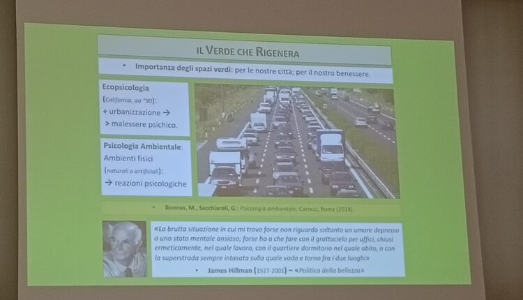 Giornata nazionale dell’albero: la Lombardia celebra i suoi alberi monumentali, custodi di storia e identità